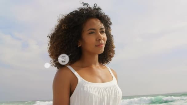 ビーチに立つアフリカ系アメリカ人女性に対するデジタルアイコンのネットワーク 世界的なネットワーキング技術の概念 — ストック動画