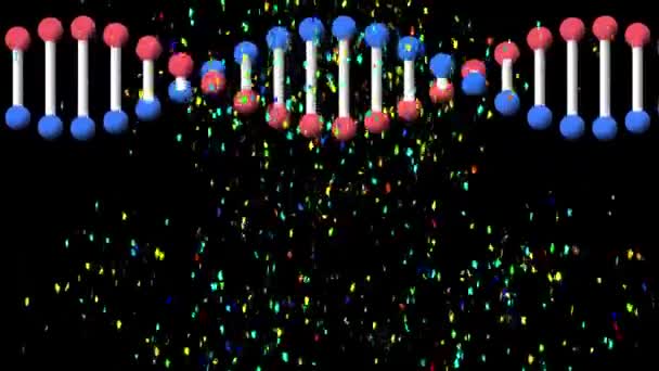 Animation Colourful Confetti Falling Rotating Dna Strand Black Background Celebration — Stock Video