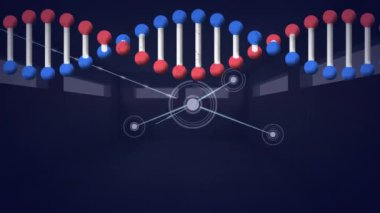 DNA yapısının dijital animasyonu siyah arkaplana karşı bağlantı ağının üzerinde dönüyor. küresel ağ oluşturma ve tıbbi araştırma teknolojisi kavramı