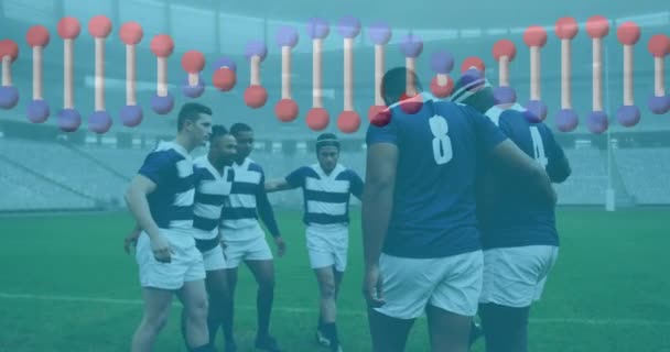 Animacja Nici Dna Nad Graczami Rugby Globalny Sport Technologia Interfejs — Wideo stockowe