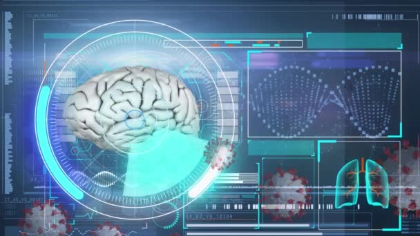 Animação Células Vívidas Com Fiação Cerebral Humana Telas Com Processamento — Vídeo de Stock