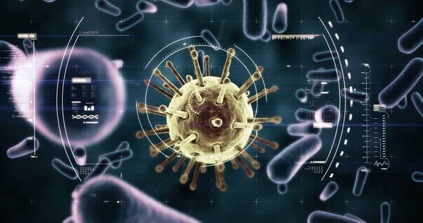 Imagen Células Coronavirus Macro Covid Escaneo Microscopio Procesamiento Datos Sobre —  Fotos de Stock