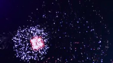 Çok renkli havai fişeklerin patlamasının animasyonu. Yeni yıl partisi ve dijital olarak üretilen video konsepti.