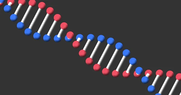 Gri Arkaplandaki Dijital Kırmızı Mavi Beyaz Çift Sarmal Dna Ipliği — Stok fotoğraf