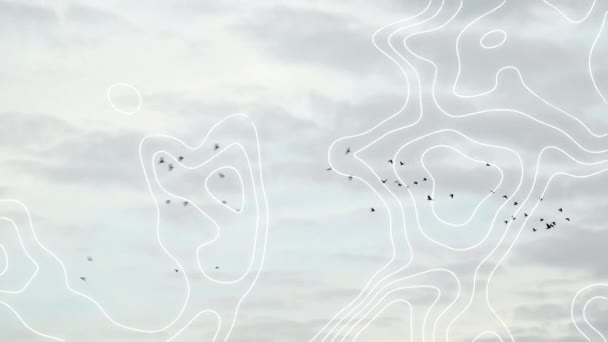 Animation Réseaux Lignes Blanches Sur Les Oiseaux Ciel Connexions Mondiales — Video