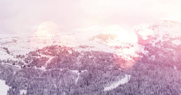 Açık Benekli Dağların Karla Kaplı Köknar Ağaçlarının Olduğu Kış Manzarası — Stok fotoğraf