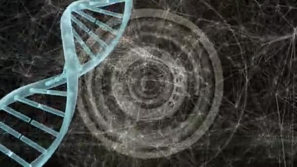 Animatie Van Dna Streng Scope Scanning Met Netwerk Van Verbindingen — Stockvideo