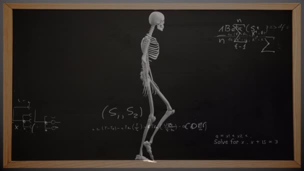 Animación Ecuaciones Matemáticas Sobre Esqueleto Educación Global Ciencia Interfaz Digital — Vídeos de Stock