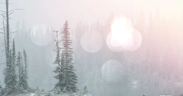 Image Winter Scenery Landscape Light Spots Mountains Fir Trees Covered — Stock Photo, Image