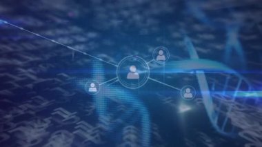 DNA dizisi ve ikili kodlama ile bağlantı ağının animasyonu. bağlantılar, teknoloji ve dijital arayüz konsepti dijital olarak oluşturulmuş video.