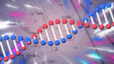 DNA yapılarının dijital animasyonu bağlantı ve veri işleme ağına karşı dönüyor. küresel ağ oluşturma ve tıbbi araştırma teknolojisi kavramı