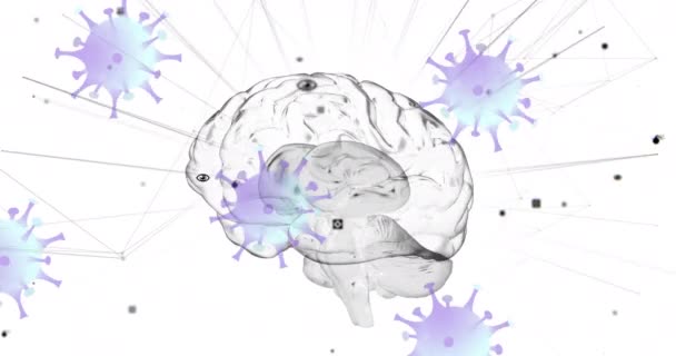 人脑旋转对19细胞的活化作用 全球联盟19大流行病概念数码视频 — 图库视频影像