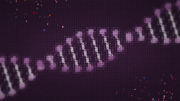 Animation Digital Dna Strand Moving Colourful Confetti Black Background Nature — Stock Video