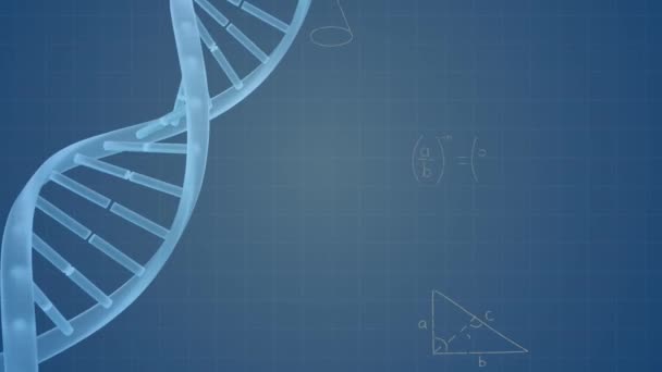 Dna Ipliği Üzerinde Matematiksel Denklemlerin Animasyonu Küresel Eğitim Bilim Dijital — Stok video