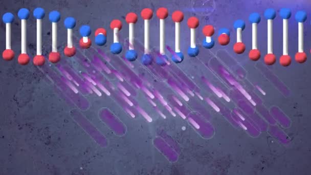 배경의 보라색 자국에 반해서 회전하는 Dna 구조의 디지털 애니메이션 글로벌 — 비디오