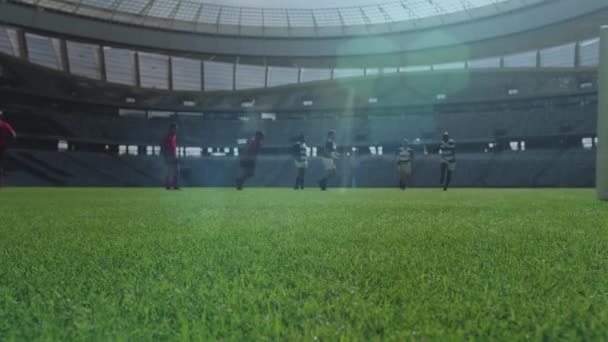 Animatie Van Cardiograf Boven Voetballers Wereldwijde Sport Concurrentie Verbindingen Gegevensverwerkingsconcept — Stockvideo