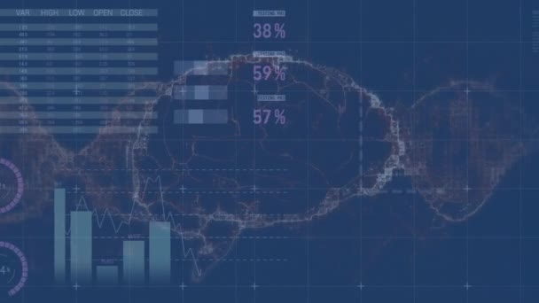 Animação Processamento Dados Financeiros Sobre Cérebro Digital Conceito Global Negócios — Vídeo de Stock