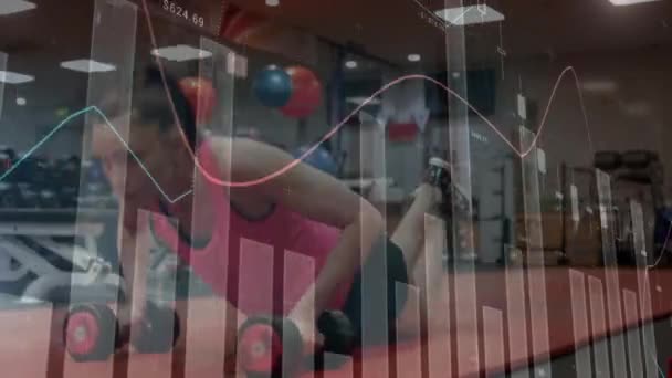 Animáció Adatfeldolgozás Statisztikák Felett Erős Gyakorlása Globális Sport Fitness Adatfeldolgozási — Stock videók
