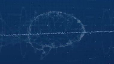 İnsan beyni üzerinde veri işleme animasyonu. küresel bilim, veri işleme ve dijital arayüz kavramı dijital olarak oluşturulmuş video.