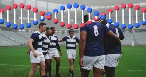 Animation Brin Adn Sur Les Joueurs Rugby Masculins Stade Sport — Video