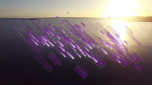 Animación Bengalas Luz Púrpura Moviéndose Sobre Mar Atardecer Concepto Global — Vídeos de Stock
