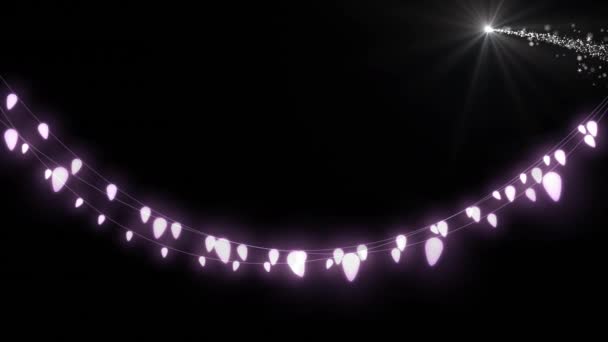 Animação Cordas Brilhantes Luzes Fadas Brilhante Estrela Cadente Flocos Neve — Vídeo de Stock
