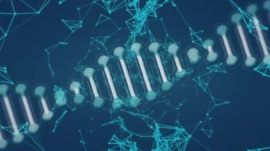 Karanlık arka planda bağlantı ağının ve DNA iplikçiklerinin animasyonu. küresel iş, dijital arayüz ve teknoloji konsepti dijital olarak oluşturulmuş video.