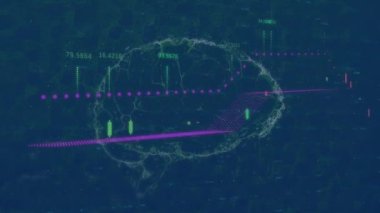İnsan beyni üzerinde veri işleme animasyonu. küresel bilim, veri işleme ve dijital arayüz kavramı dijital olarak oluşturulmuş video.