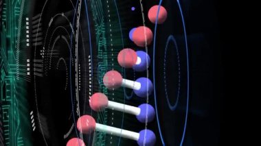 Siyah arka planda dönen DNA iplikçiklerinin animasyonu. küresel tıp, sağlık ve teknoloji konsepti dijital olarak üretilen video.