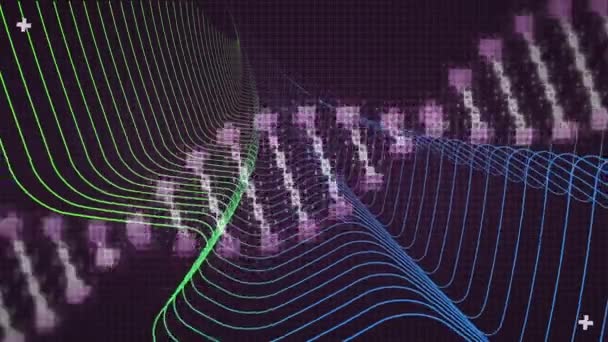 Animação Fio Dna Digital Girando Sobre Linhas Paralelas Curvas Verde — Vídeo de Stock