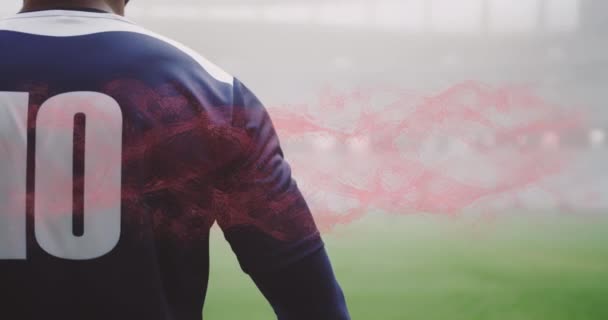スタジアムの男性ラグビー選手の煙道のアニメーション スポーツ フィットネス データ処理の概念をデジタルで生成したビデオ — ストック動画