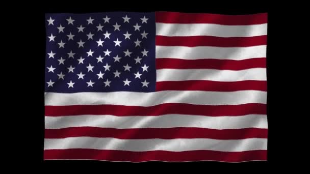 Animazione Sventolare Bandiera Americana Sfondo Nero Patriottismo Concetto Celebrazione Video — Video Stock