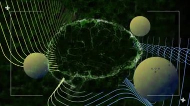 Sarı ve mavi eğriler ve sarı küreler üzerinde dönen dijital beynin animasyonu, siyah üzerinde. küresel iletişim ağı ve dijital arayüz arkaplan kavramı dijital olarak oluşturulmuş video.