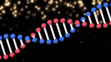 Koyu arkaplanda altın yıldızlarla dönen 3 boyutlu DNA iplikçiklerinin animasyonu. tıbbi araştırma, doğa ve teknoloji konsepti dijital olarak oluşturulmuş video.