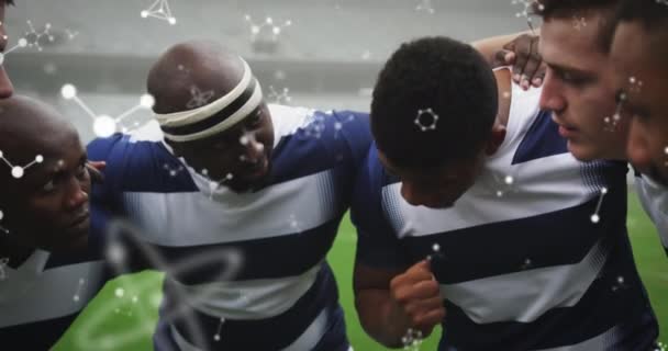 Animation Chemischer Strukturen Über Männlichen Rugbyspielern Stadion Sport Und Wettkampfkonzept — Stockvideo