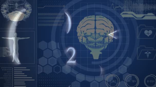 Анімація Людського Мозку Обробка Даних Глобальна Наука Обробка Даних Концепція — стокове відео