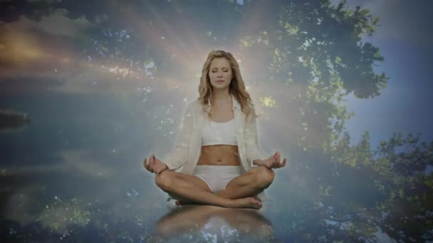 在树上和天空中练习瑜伽的女人上方闪烁着光芒的动画 假日及夏季概念数码录影 — 图库视频影像
