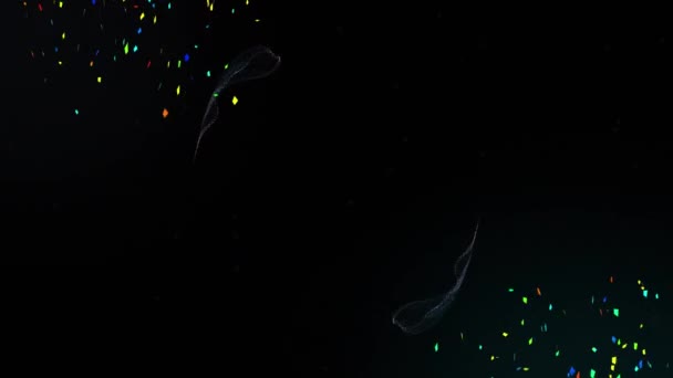 Animation Confettis Tombant Sur Des Sentiers Fumée Déplaçant Sur Fond — Video