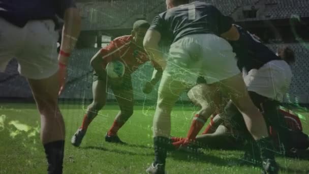 Animazione Dell Elaborazione Dei Dati Durante Partita Rugby Nello Stadio — Video Stock