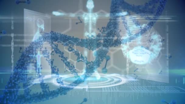 Animatie Van Het Menselijk Lichaam Dna Streng Spinnen Medische Gegevensverwerking — Stockvideo