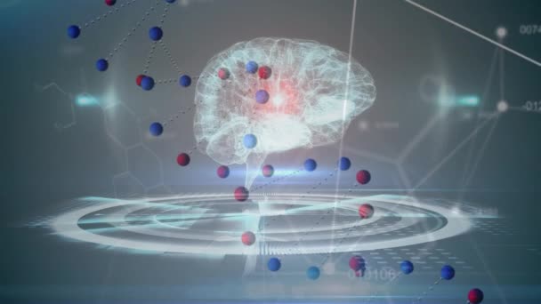 Animazione Del Cervello Umano Filatura Del Dna Elaborazione Dei Dati — Video Stock