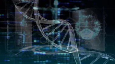 İnsan beyni animasyonu, DNA iplikçikleri ve veri işleme. küresel bilim, veri işleme ve dijital arayüz kavramı dijital olarak oluşturulmuş video.
