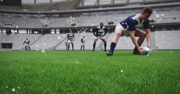 Stadyumdaki Erkek Rugby Oyuncuları Üzerinde Kimyasal Yapıların Animasyonu Spor Yarışma — Stok video