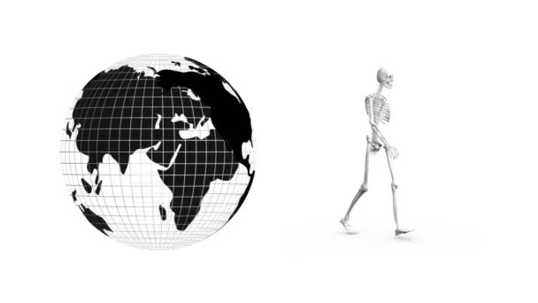 Digital Animation Globe Icon Spinning Human Skeleton Walking White Background — Stock Video