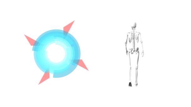Animação Digital Scanner Escopo Redondo Esqueleto Humano Andando Contra Fundo — Vídeo de Stock
