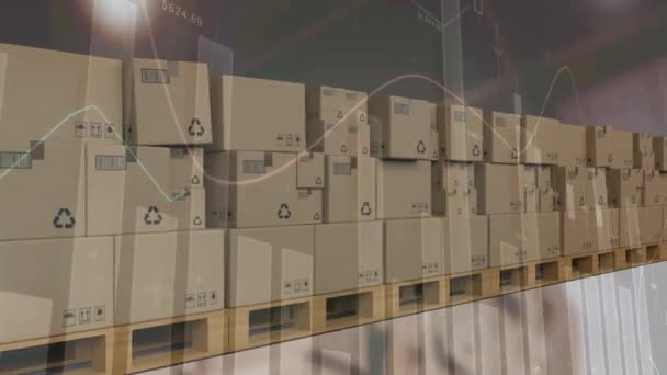 コンベアベルト上の複数の配送ボックスに対する統計データ処理 輸送事業のコンセプト — ストック動画