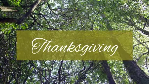Κινούμενο Κείμενο Ευχαριστιών Πράσινο Πανό Πάνω Από Δέντρα Διακοπές Γιορτή — Αρχείο Βίντεο
