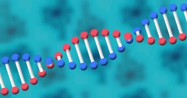 Mavi arka planda dönen DNA iplikçiklerinin animasyonu. Bilim ve araştırma konsepti dijital olarak oluşturulmuş video.