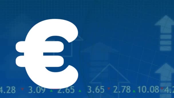 Animation Euro Sign Financial Data Processing Global Finance Business Digital — Stock Video