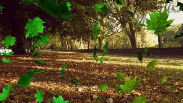 Animacja Liści Opadających Nad Zielonym Lasem Koncepcja Przyrody Jesieni Pór — Wideo stockowe